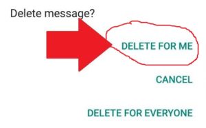 Panduan Cara Menghapus Pesan WhatsApp yang Sudah Terkirim